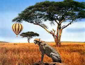 Balloon over the Serengeti - Photo by Sharlene Ramey-Cross.