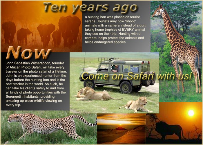 Come Safari with us!