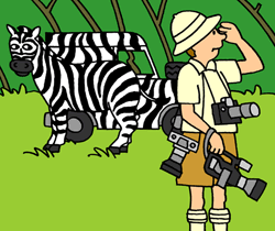 zebra-man-cartoon