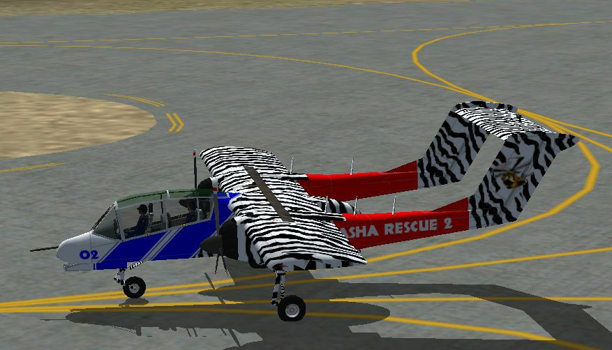 zebra-plane.jpg