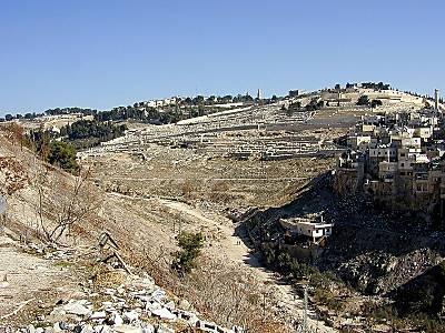 Mt. Of Olives